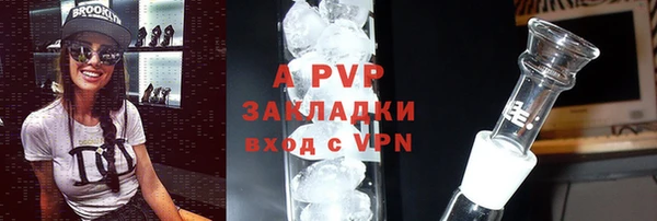 ПСИЛОЦИБИНОВЫЕ ГРИБЫ Волосово