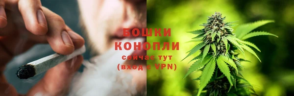 ПСИЛОЦИБИНОВЫЕ ГРИБЫ Волосово