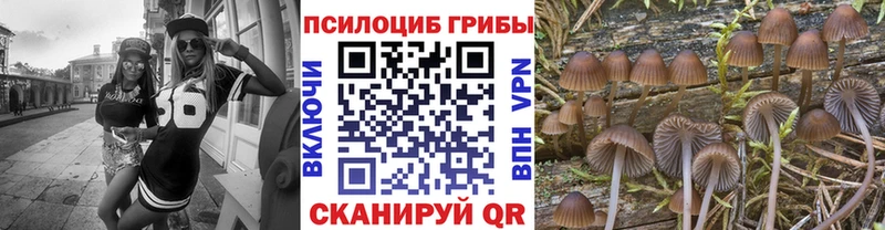Псилоцибиновые грибы Cubensis  shop наркотические препараты  Данков 